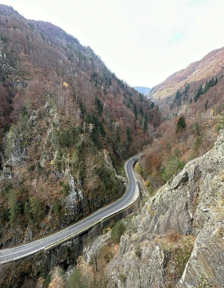 Anisyia_ model erotic photo