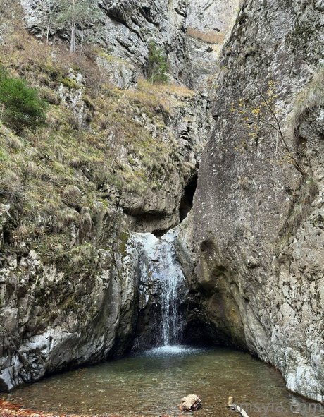 Anisyia_ Quick model image