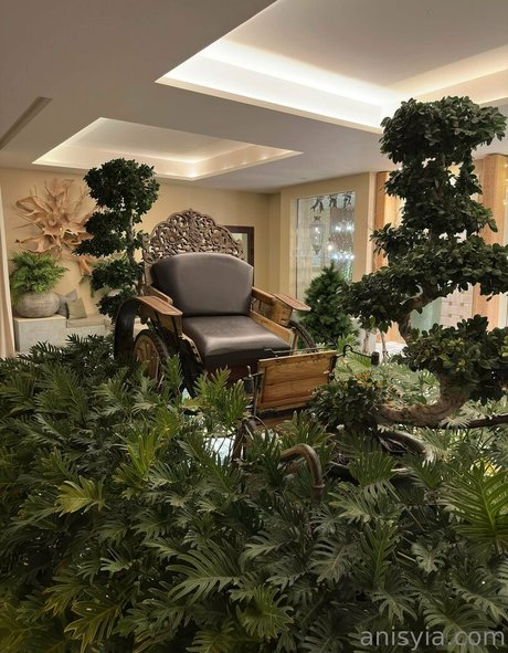 Anisyia_ model pretty galleries