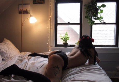 curvy girl onlyfans art nude galleries