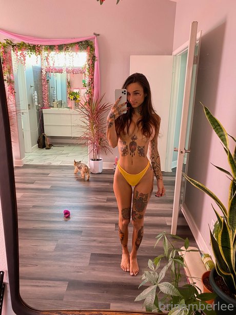 Brin Amberlee pretty star archive