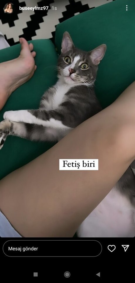 buseeylmz97 naked model image