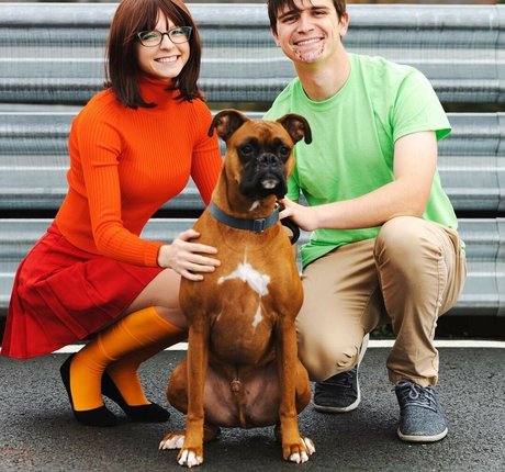 Aurora Straus star galleries