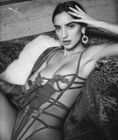 callanjensen star top img