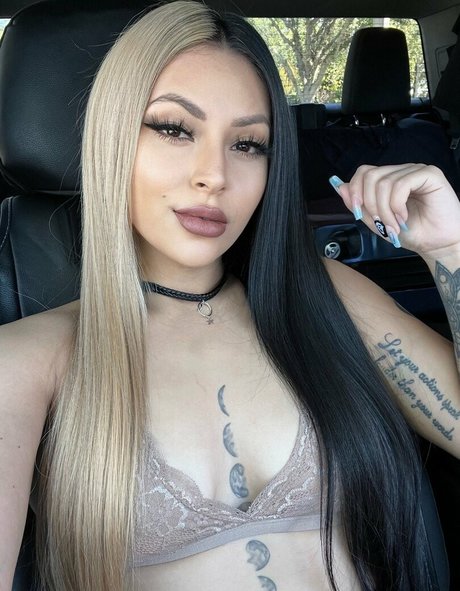 Vipress pornstar images