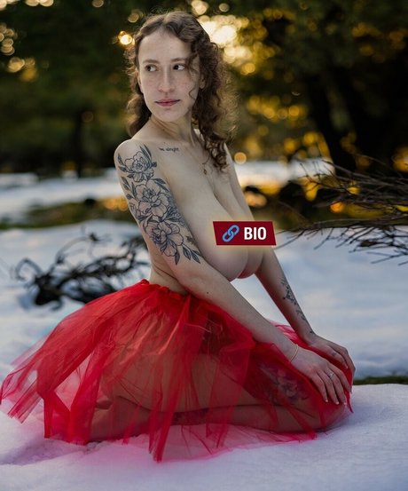 PhotoArt il pornographic star archive