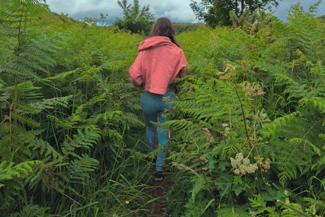 Ashi top pornstar archive