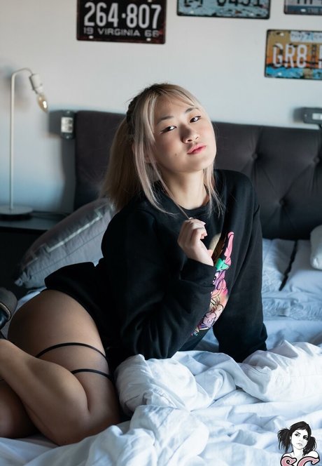 ayaska nudes pornstar gallery