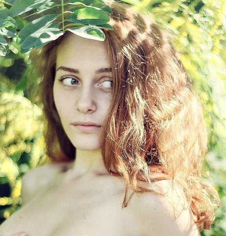 Ave Maria star best image