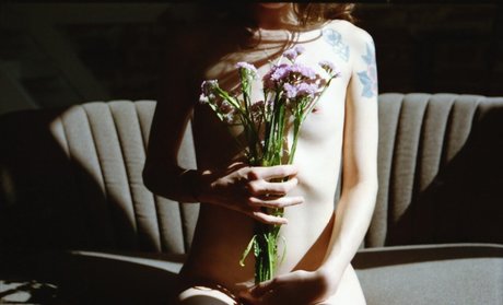 Galipompom star archive