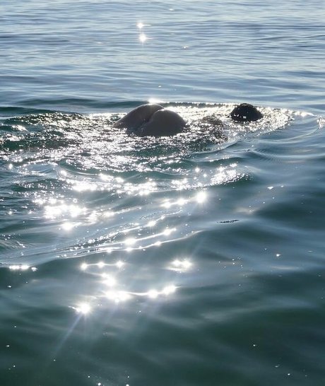 Casi Davies beautiful actress photo