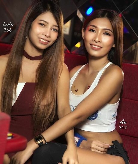 Candiddingdongs star top pics