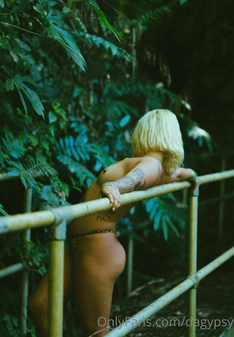 Kaylee Gypsy nude star gallery