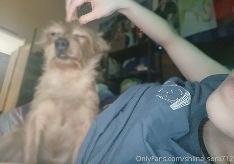 Sora Shiina naked actress gallery