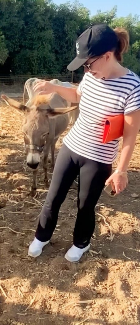 Kay Burley star nudes galleries