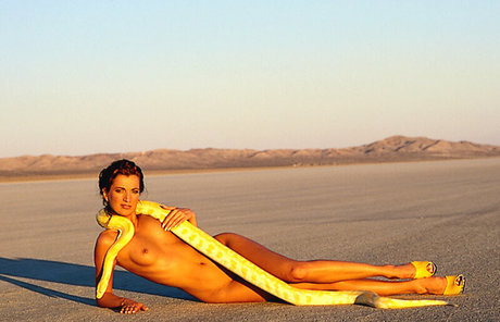 Yvonne Hoffmann adult actress image