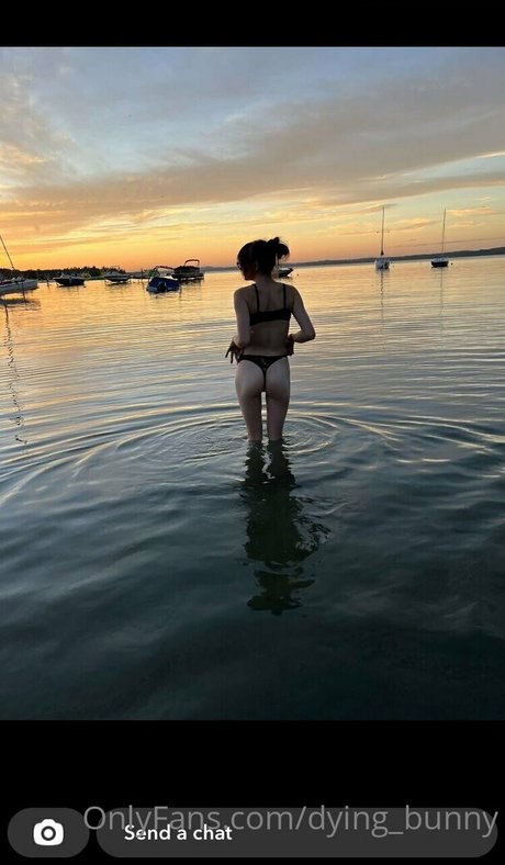 Dying bunny star pornographic galleries