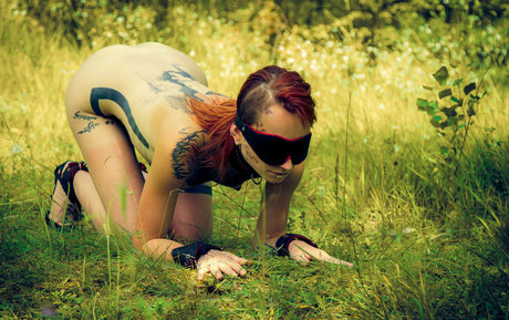 Jokers Harley Quinn star sex image