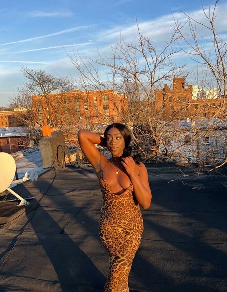 bribriann6722 pornstar nude photos