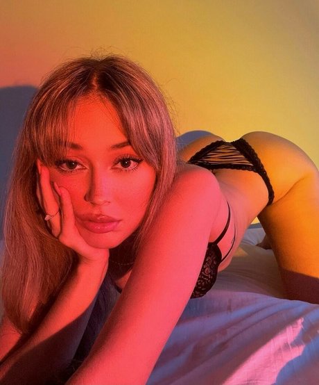 Hanhuts model high quality archive