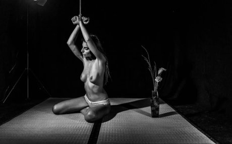 Auromineo free star gallery