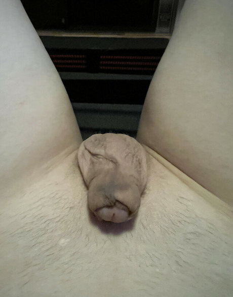 BaileyAbunai high quality model image