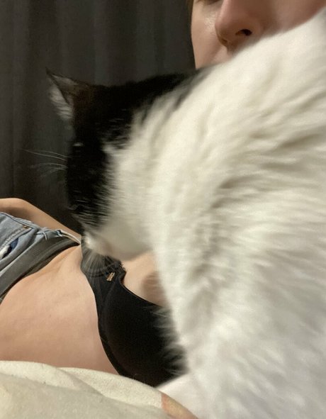 Dinkhoe high quality pornstar archive