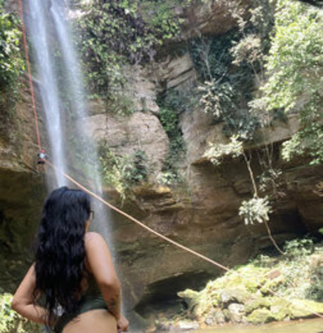 Miaulevola star nice image