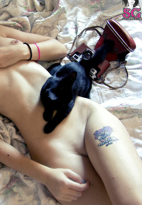 Plum sg art pornstar pics