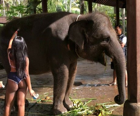 Zahra Rai star hot image