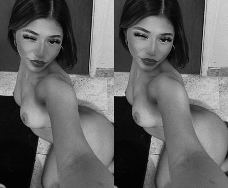 twotonedeedee top pornstar galleries