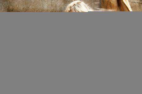 Susie Owens model beautiful galleries