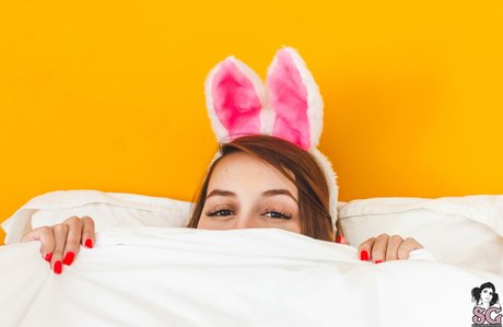 acamifox star nudes images