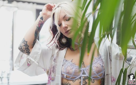 Circa sg nice pornstar galleries