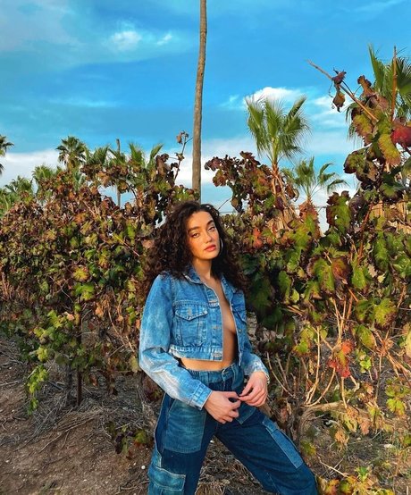 Liraz Nomdar pornstar gallery