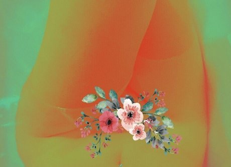 Anna Clara Camargo star exclusive photo