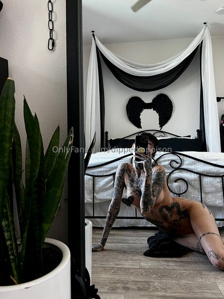 Dippedinpoison sex pornstar archive