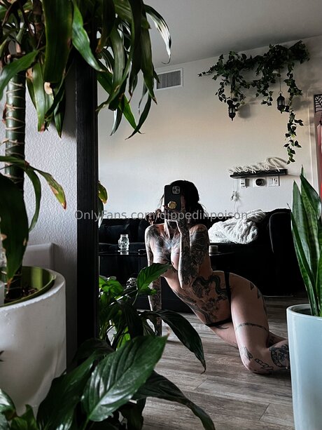 Dippedinpoison art star photos