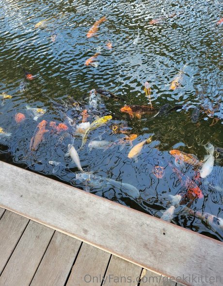 asian nude onlyfans free sex archive