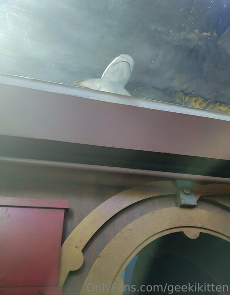 geekikitten beautiful pornstar img