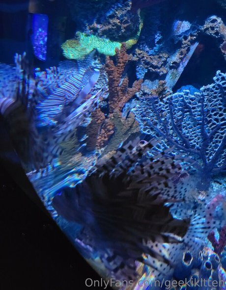 slim milf onlyfans sexy nude pics