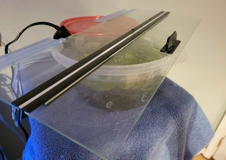 geekikitten free actress pic