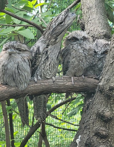 geekikitten pornstar hot pictures