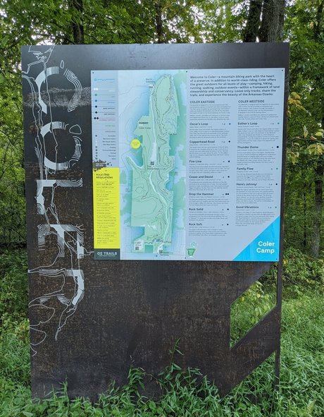 theradicalfox art model pics