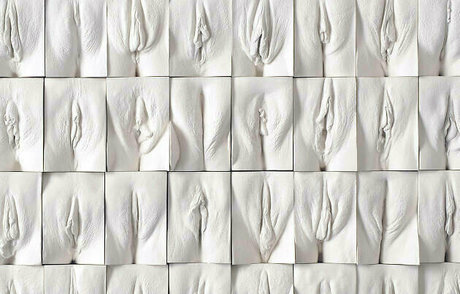 andratwerkfree porn star img