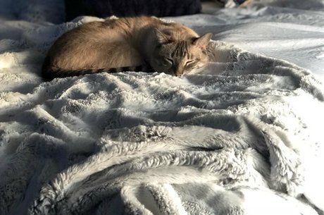 wolf6actual pornstar sex pics