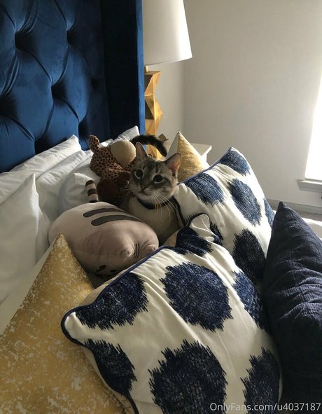 wolf6actual star sex archive