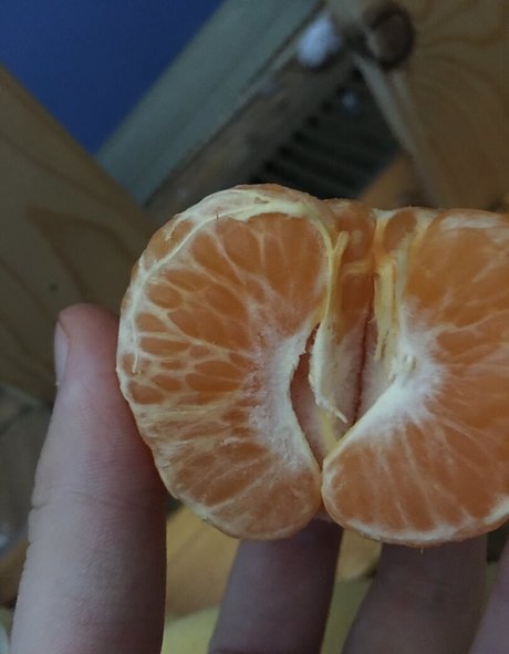 lewdology star hot picture