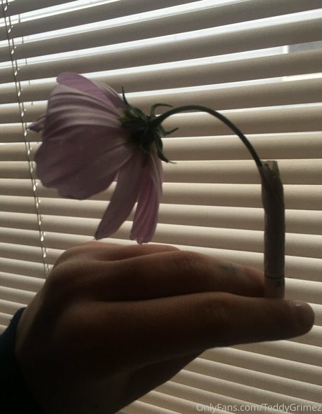 lewdology model nude pictures