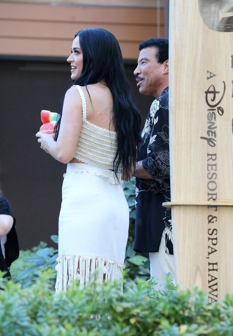 Katy Perry star nudes pic